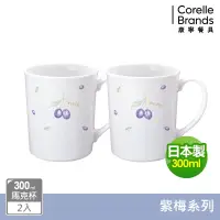 在飛比找博客來優惠-【美國康寧 CORELLE】紫梅2件式馬克杯組-B01