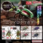 【BTF】萬代扭蛋生物大圖鑑 彩虹鍬甲蟲 仿真昆蟲可動擺件4款扭蛋 Z9ZF