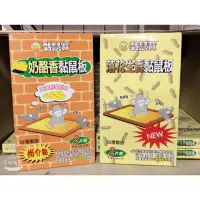 在飛比找蝦皮購物優惠-🈶現貨不用等 ✔️附收據 🇹🇼台灣製造 2片裝強力黏鼠板 上