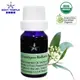 Body Temple 身體殿堂100%有機尤加利芳療精油(Eucalyptus Radiata oil)不含香精香料