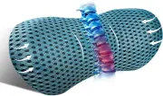 kasney Lumbar Support Pillow Ergonomic Memory Foam , Relieve Back Pain, Blue