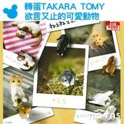 【轉蛋TAKARA TOMY欲言又止的可愛動物】Norns 日本 扭蛋 公仔 玩具 柴犬 貓咪 松鼠 海豹 水獺