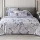 Tonia Nicole 東妮寢飾 維也納莊園環保印染100%萊賽爾天絲被套床包組(加大)-活動品