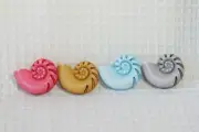 Novelty Buttons (new) 15/16" (4) NAUTILUS SHELL - MIX #1