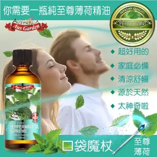 【Ausgarden 澳維花園】至尊薄荷精油100ml(薄荷精油能量 清涼舒心的療癒力)