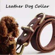Top Quality Handmade Genuine Leather Pet Dog Collar Head Collars Leads