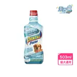 【美國潔牙白DENTAL FRESH】一般版潔牙液 503ML