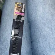 Cat collar with Bell