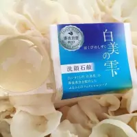 在飛比找蝦皮購物優惠-日本白美學HAKUBI白美の 白美茸洗顏球/100g