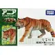 《GTS》純日貨 TAKARA TOMY 多美動物園 ANIA AS-30老虎 89419