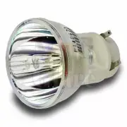 Original Projector Bare Lamp for BENQ 5J.J9H05.001