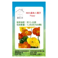 在飛比找momo購物網優惠-【蔬菜工坊】H69.虞美人種子(重瓣大花)