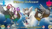⚔️Shiny/Non-shiny Pidove/Unfezant 6IV️Pokémon Sword/Shield HOME (Legal)