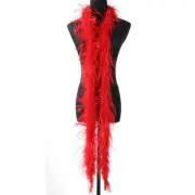 Dazzling Decorative Scarves with Soft Feathers in a Length of 2M Now Here