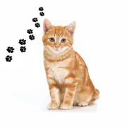 Andreas Round Silicone Mat Jar Opener, Orange Tabby Cat, 6.25 Inch