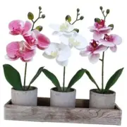 Set of 3 Small Artificial Orchid Potted Plants Arrangement with Rustic Wood