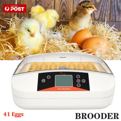 AU Fully Automatic 41 Egg Incubator Digital Led Auto Turning Chicken Egg Poultry