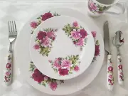 4 New Gracie China Porcelain Shabby Chic Roses Dinnerware Place Settings