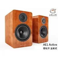 在飛比找PChome商店街優惠-｛音悅音響｝英國 Acoustic Energy AE AE