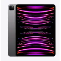 在飛比找環球Online優惠-現貨【APPLE 授權經銷商】2022 iPad Pro 平