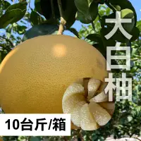 在飛比找台灣好農優惠-【明佑好柚園】大白柚(10斤/箱)(約4-6顆)