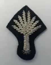 Genuine British Military Mess Dress Wire Braided Welsh Leak Silver Badge ASPS238