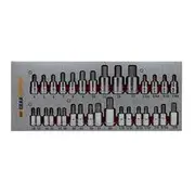 GearWrench 32 Piece Hex & Torx Bit Set in EVA Foam Tray - 83994