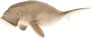 5.6'' Manatee Action Figure, Plastic Figurine Science Teaching Toy Gift