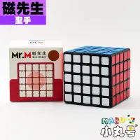 在飛比找Yahoo!奇摩拍賣優惠-小丸號方塊屋【聖手】Mr.M 磁先生 磁力定位五階 黑底 Q