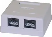 Digiwave DGA6420 CAT6 Dual Baseboard Jack