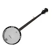 Freedom 5-String Banjo Full Size with Remo Head Sunburst