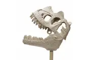 Schylling Dinosaur Fossil Chomper Fun Play Sensory Kids Children Toy 45cm 3+
