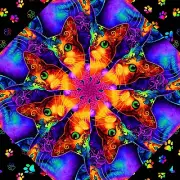 RAINBOW WILDCATS Pre-Cut Kaleidoscope Kit 12-10" Blok Kit Stack N Whack