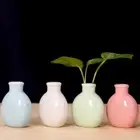 Mini Flower Vase Solid Color Flowerpot Planter Crafts Decorative Home Garden