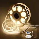220V COB LED Strip Light 360LEDs/m Dotless Natural White + RF Controller 15-100M