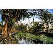 Save 8.00%! 11 Days Explore the Nature & Culture of Colombia