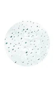 [Leonor Greyl] Tonique Hydratant Leave-In Mist