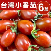 在飛比找momo購物網優惠-【甜露露】台灣小番茄6盒入x1箱(每盒1台斤±10%)