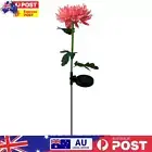 Solar Power Chrysanthemum Ground Light Flower Outdoor Garden Decor (Pink)