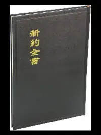 在飛比找Yahoo!奇摩拍賣優惠-【中文聖經和合本】CU283A 新約全書 神版 大字型 大字