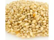 Baby White Bulk Popcorn 1 Pound Popcorn Kernels