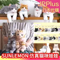 在飛比找蝦皮購物優惠-✨新款✨【全系列】日本 SUNLEMON 仿真貓咪娃娃 膝上