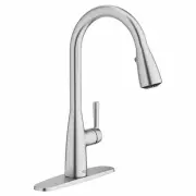 Glacier Bay American Standard Fairbury 2S Single-Handle Pull-Down Sprayer Kitch