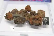 Meteorite NWA 15210 Pallasite Meteorite, 50 gram, from outer space