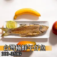 在飛比找松果購物優惠-【鮮綠生活】台灣午仔魚300-350克 (5.3折)