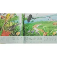 在飛比找蝦皮購物優惠-魔法夜光書 動物進化戰 童書