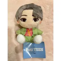 在飛比找蝦皮購物優惠-SEVENTEEN petiTEEN 娃娃 坐姿人偶娃娃 T