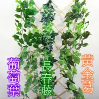 在飛比找momo購物網優惠-【園藝世界】人造爬藤-黃金葛(爬藤)