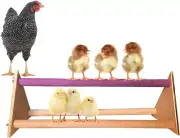 Chicken Perch Wooden Stand Swing Toy for Large Birds, Hens, and Parrots