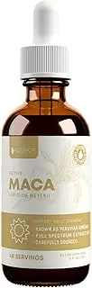 Rejuvica Health Active Maca - Advanced Maca Root Extract - Peruvian Ginseng - Liquid Delivery for Better Absorption - Supports Energy & Vitality